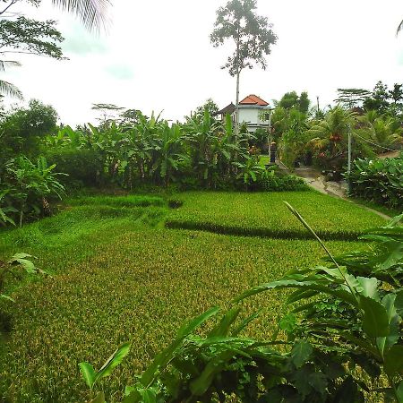 Mandala Hostel Ubud Ngoại thất bức ảnh
