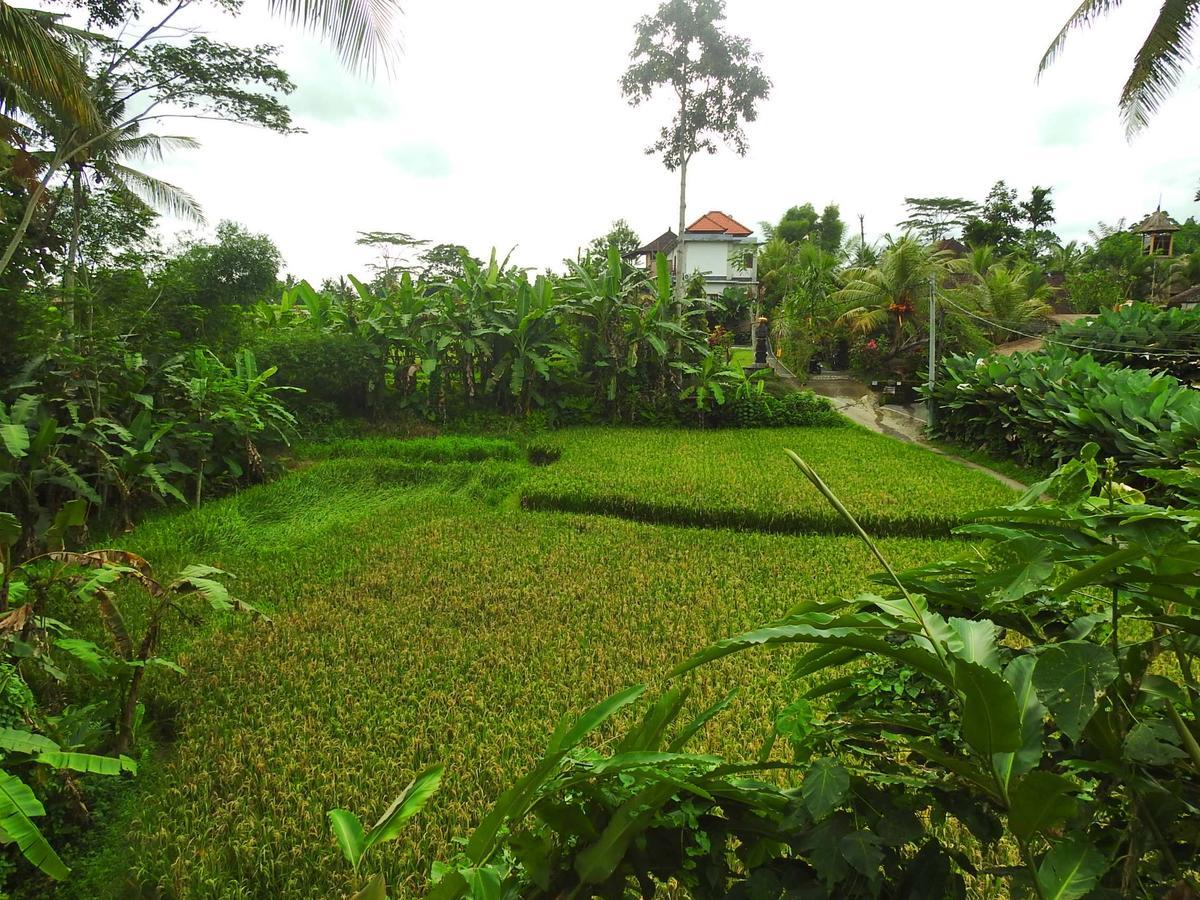 Mandala Hostel Ubud Ngoại thất bức ảnh