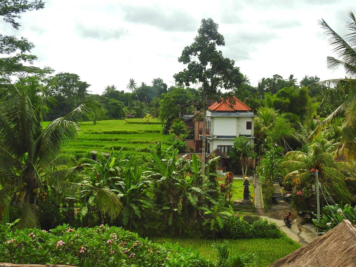 Mandala Hostel Ubud Ngoại thất bức ảnh