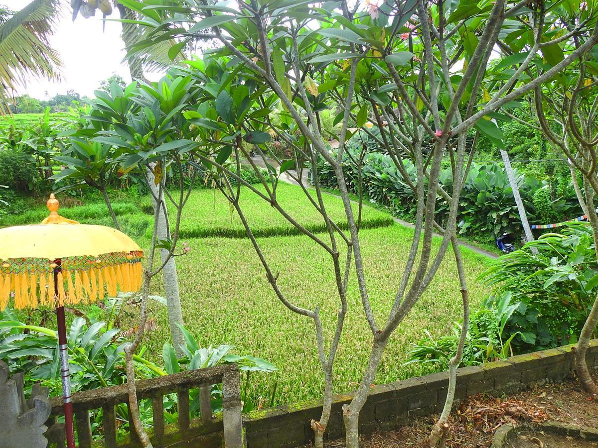 Mandala Hostel Ubud Ngoại thất bức ảnh