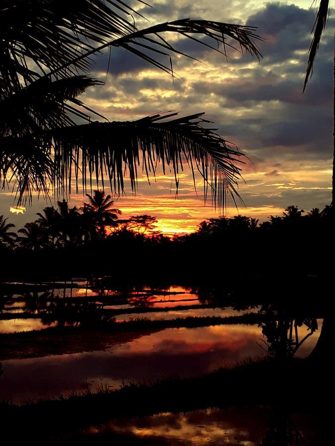 Mandala Hostel Ubud Ngoại thất bức ảnh