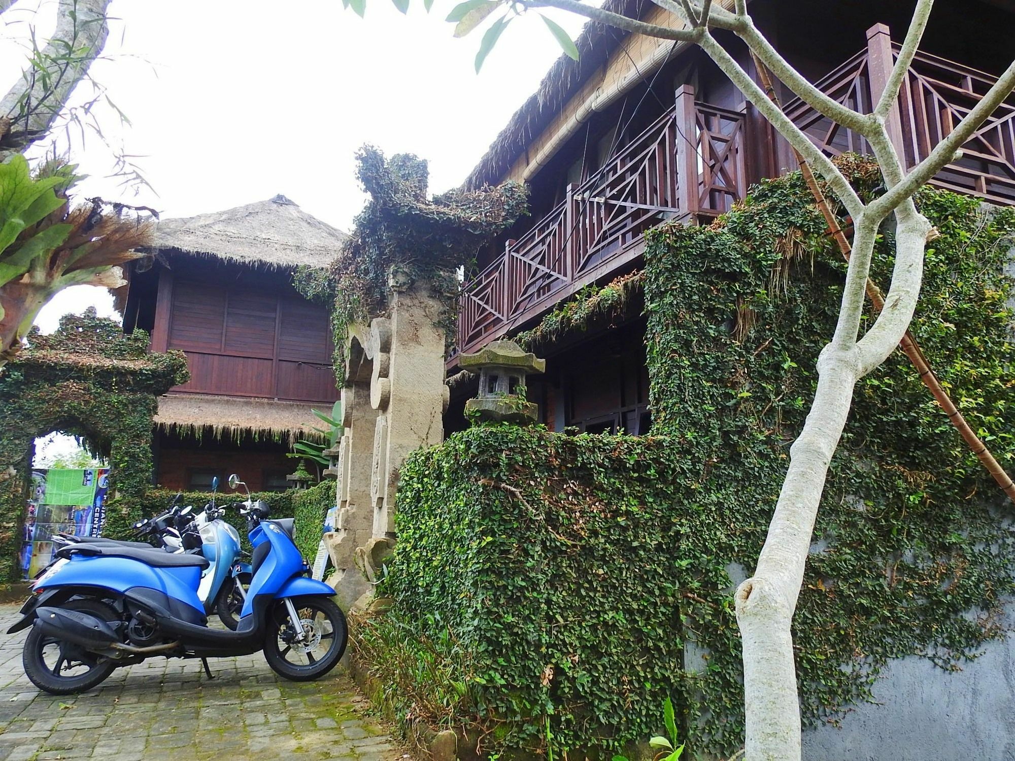 Mandala Hostel Ubud Ngoại thất bức ảnh